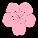 色哟哟APP应用