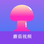 蜜蜂Tv官方正版安装APP应用